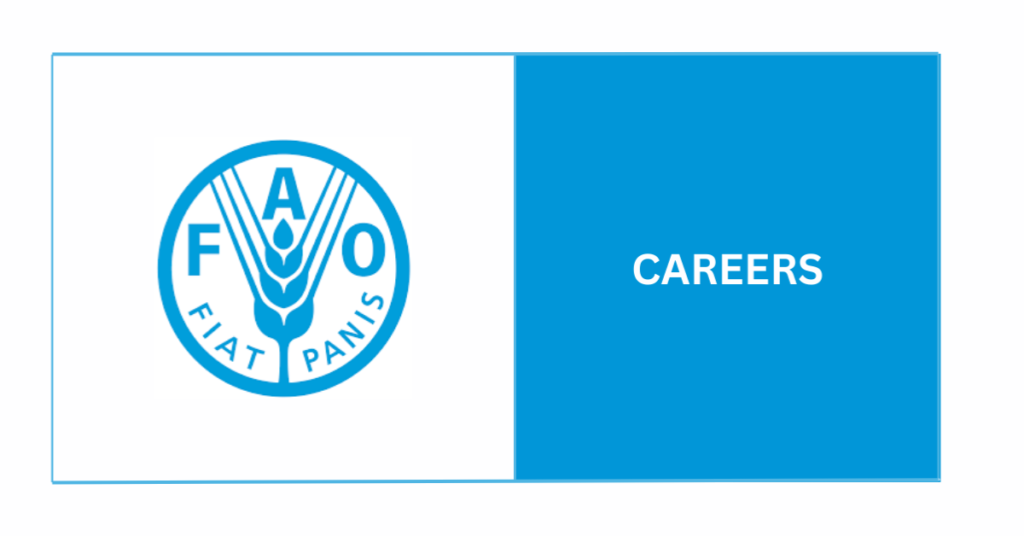100% Remote FAO Jobs 2026 — Earn $60K–$120K Working From Home