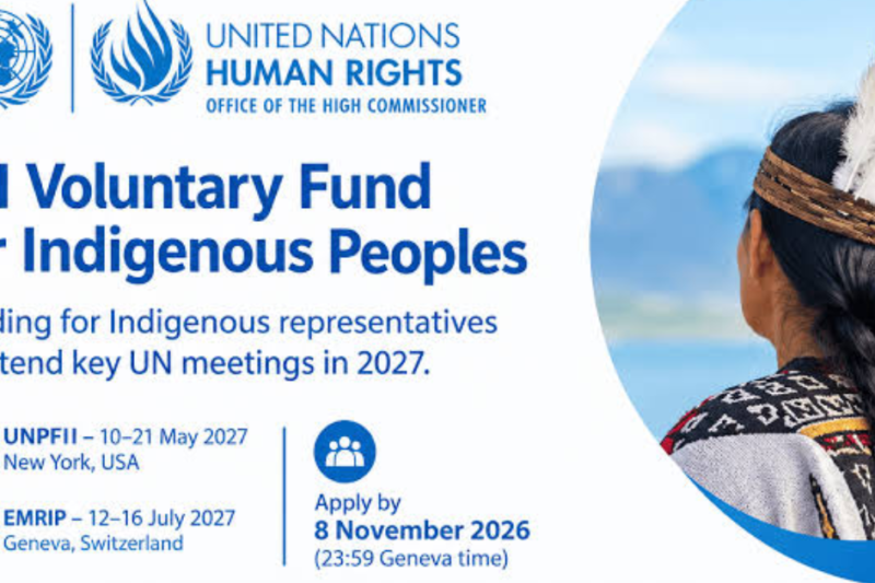 Apply now for the UN Voluntary Fund for Indigenous Peoples 2027: Fully Funded Participation in UN Meetings