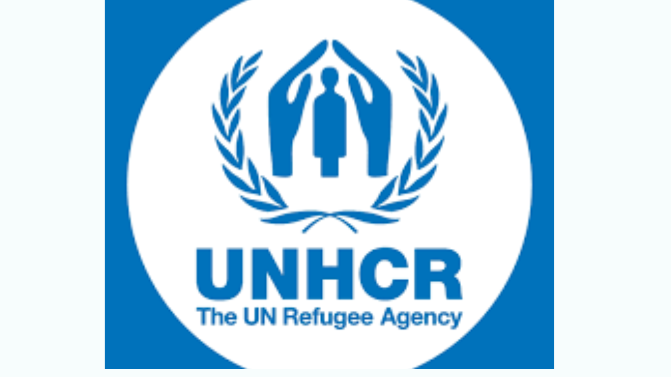 UNHCR Opens Home-Based Consultancy on Refugee Education & National Systems