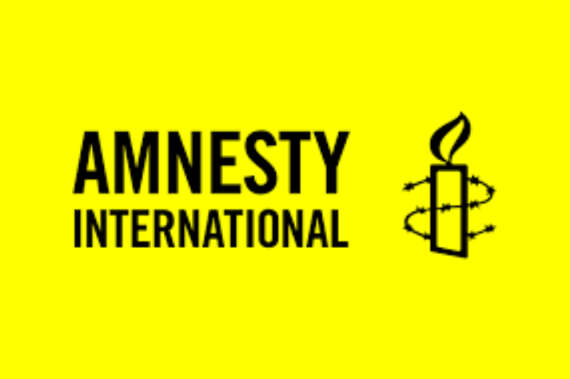 Amnesty International Assistant Job 2026 – Earn £3,600/Month in a Global Human Rights Career Opportunity