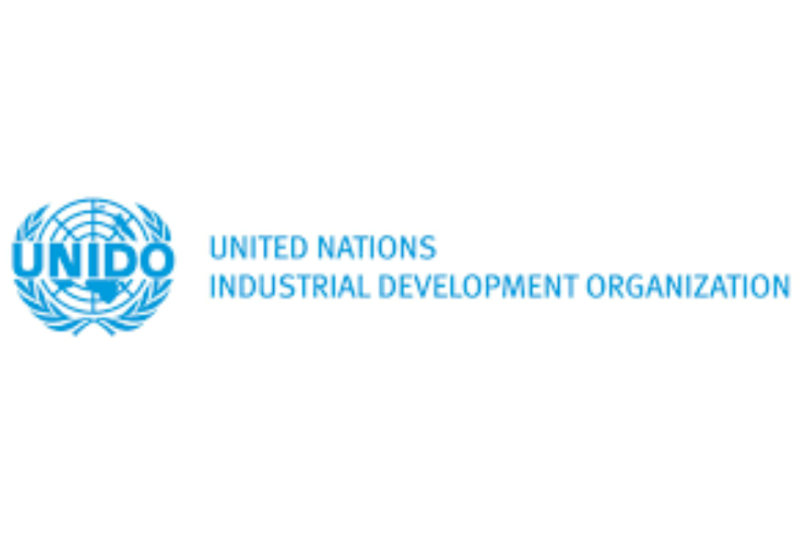 UNIDO Is Hiring Consultant Job 2026 – Exciting Global Career Opportunity in International Development with Monthly Salary of $8,000–$10,000