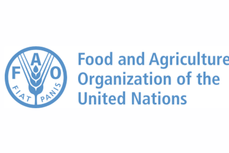 FAO x7 Internship Jobs 2026 – Apply Now for Global UN Career Opportunities in Agriculture, Food Security & Sustainable Development