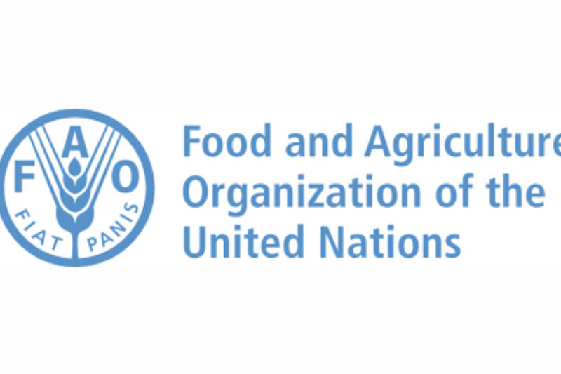 FAO and Global Agriculture Training Opportunities 2026 — Scholarships Available