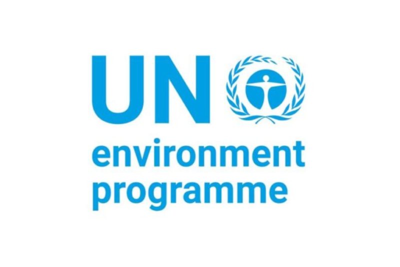 UNEP Internship Job 2026 – Fully Open Program Support Internship at the United Nations Environment Programme