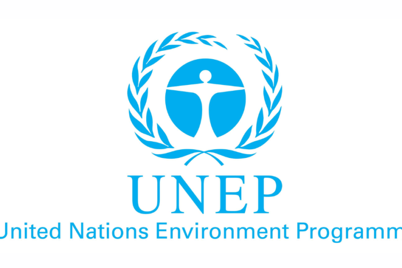 UNEP Remote Consultant Job 2026 with Monthly Salary of $7,000: Apply Now and Shape Global Environmental Policy