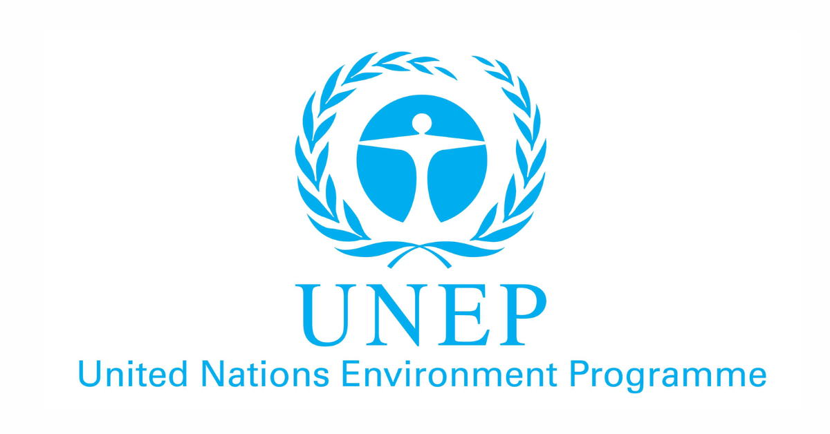 UNEP Remote Consultant Job 2026 with Monthly Salary of $7,000: Apply Now and Shape Global Environmental Policy