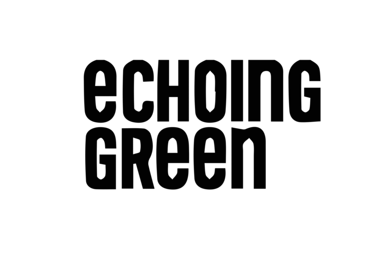 Echoing Green Fellowship Applications Open