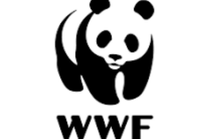 WWF Internship Opportunities 2026 Supporting Global Environmental and Climate Change Projects