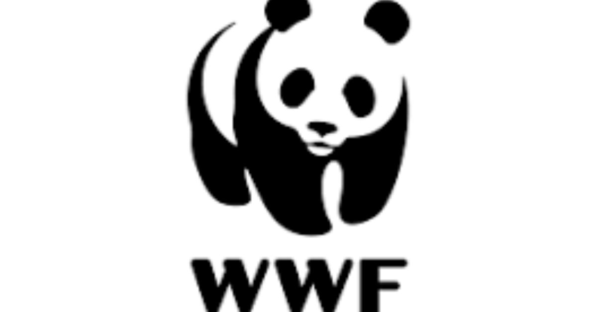 WWF Internship Opportunities