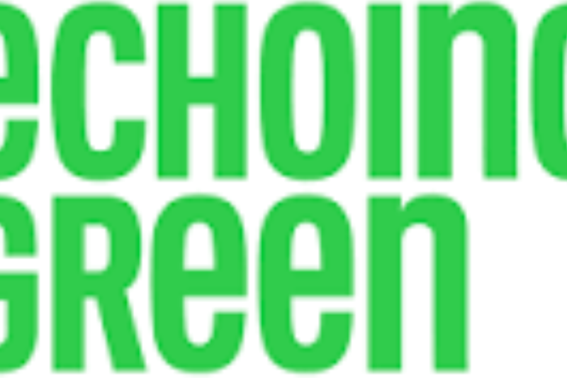 Echoing Green Social Impact Courses 2027 Open for Entrepreneurs and Social Innovation Leaders