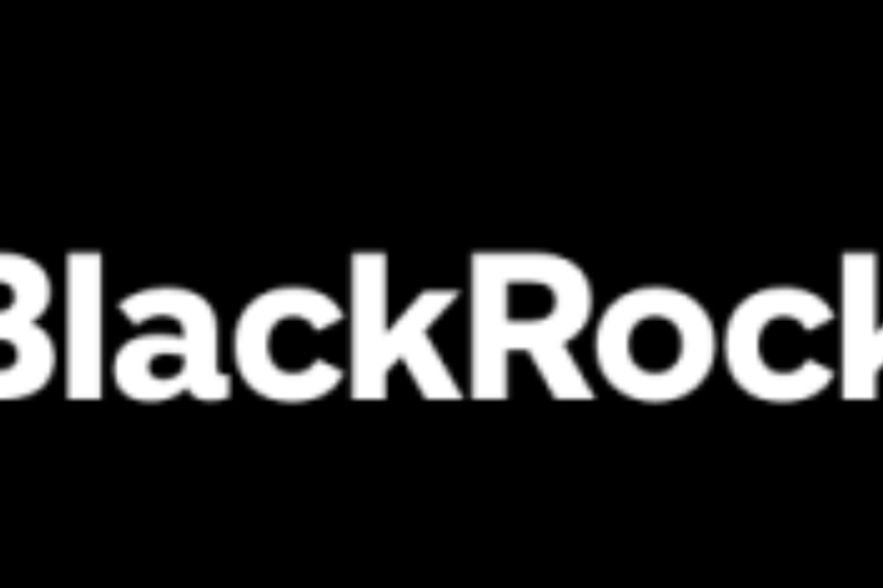 BlackRock Internship 2027 Opportunities for Students Interested in Investment and Data