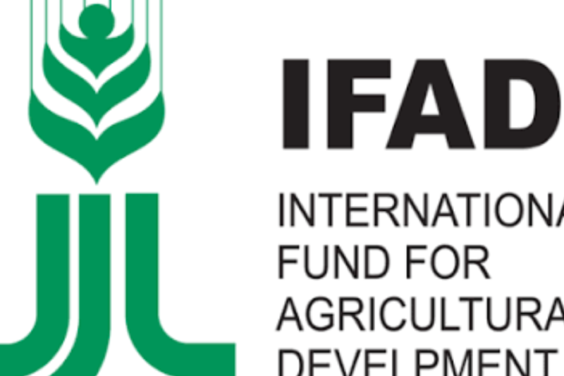 IFAD Rural Development Jobs 2026 Offer Global Career Opportunities Supporting Rural Communities