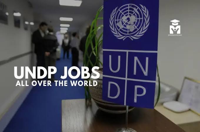 UNDP Remote Jobs 2027 Hiring International Professionals