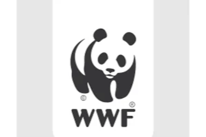 WWF Careers for Experienced Climate and Conservation Specialists
