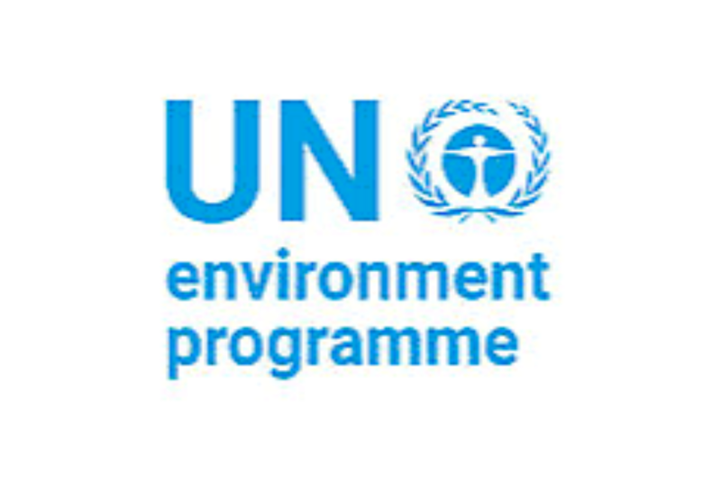 UNEP Remote Internship 2026: Communications and Events Internship, Eligibility, Responsibilities, Duration, and Application Guide