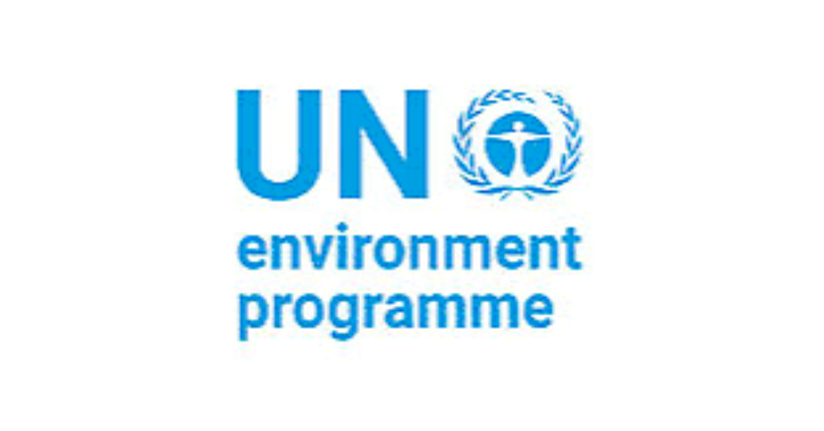UNEP Remote Internship 2026