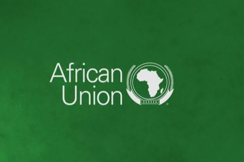 Africa Union Enterprise Africa Network