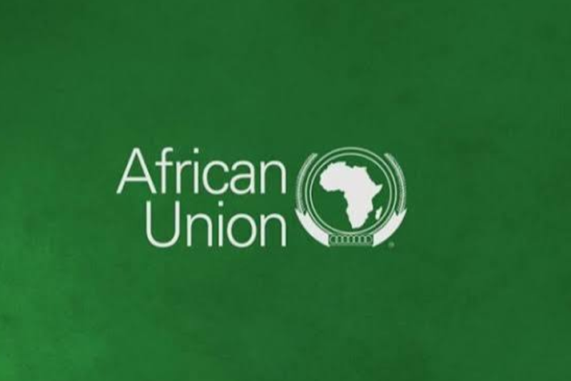African Union Enterprise Africa Network (EAN) Fellowship Programme 2026/27: 12-Month Training and Mentorship for African Entrepreneurs