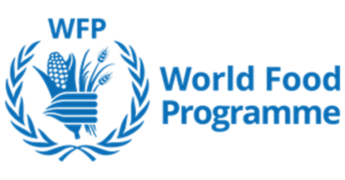 WFP Home-Based Jobs 2026