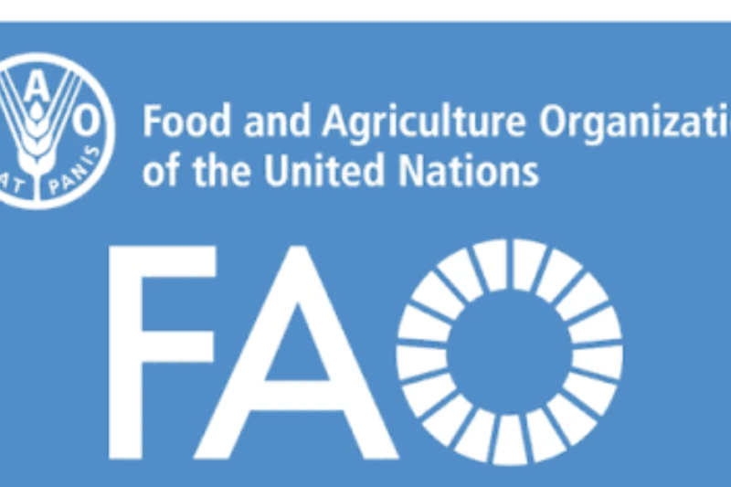 FAO Senior VPP Consultant 2026: Home-Based Consultancy Opportunity in Animal Health