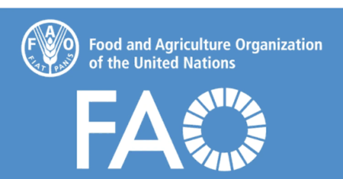 FAO Senior VPP Consultant 2026