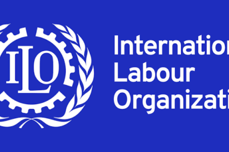 ILO 7 Entry-Level Jobs 2026: Current International Labour Organization Vacancies and How to Apply