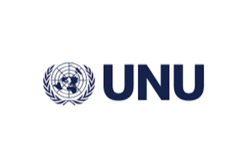 UNU Remote Consultant Job 2026: Requirements, Salary, Responsibilities, and How to Apply