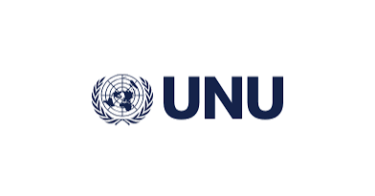 UNU Remote Consultant Job 2026