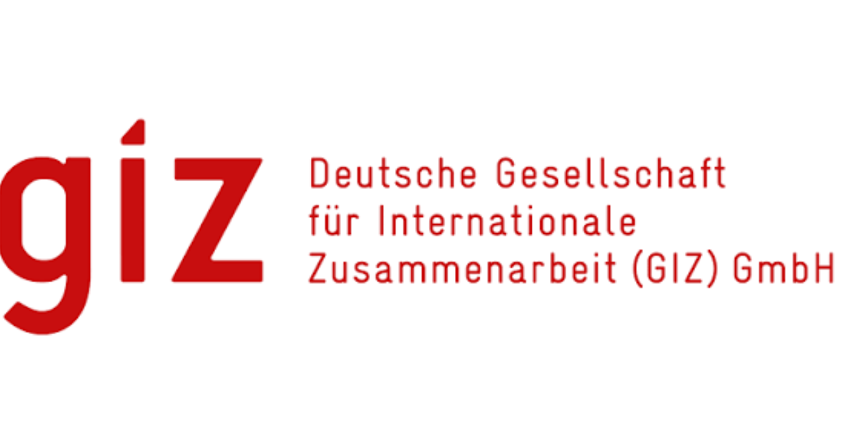 GIZ Internships