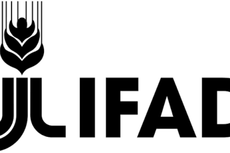 IFAD Junior Professional Officer (JPO) Programme 2026 | Applications, Eligibility and How to Apply interest