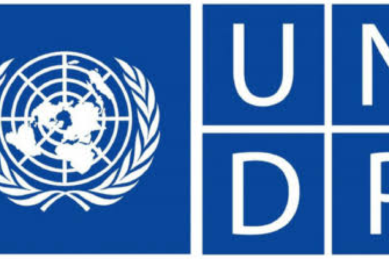 UNDP Research and Partnerships Analyst Job 2026 in Germany