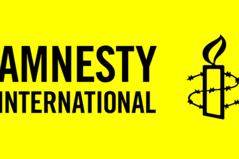 Amnesty International Assistant Job 2027