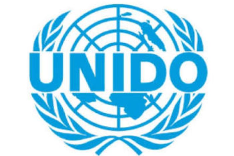 UNIDO Internship in Vienna Austria 2027 Applications Open for International Students and Recent Graduates