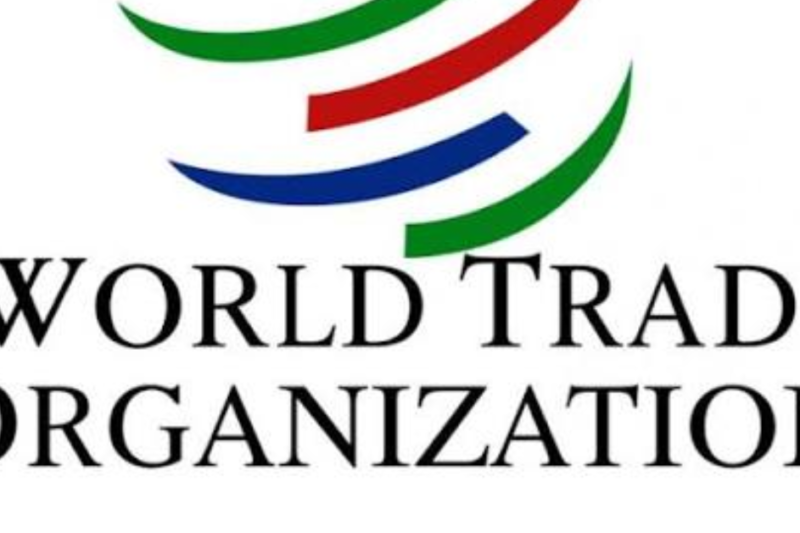 World Trade Organization Young Professionals Programme 2027 in Switzerland for Interested Young Trade Professionals