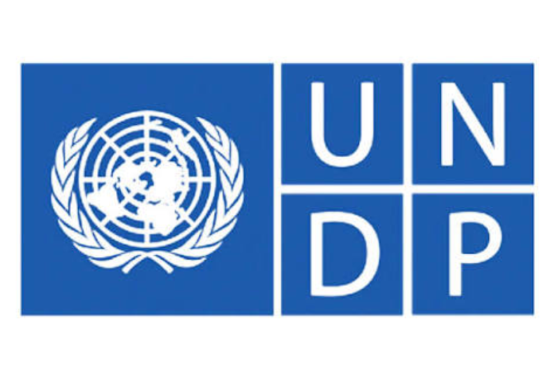 Apply for the UNDP Inclusive Growth Internship Programme 2026