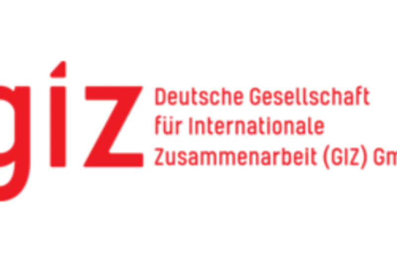 GIZ Trainee Programmes 2027 in Germany and Overseas