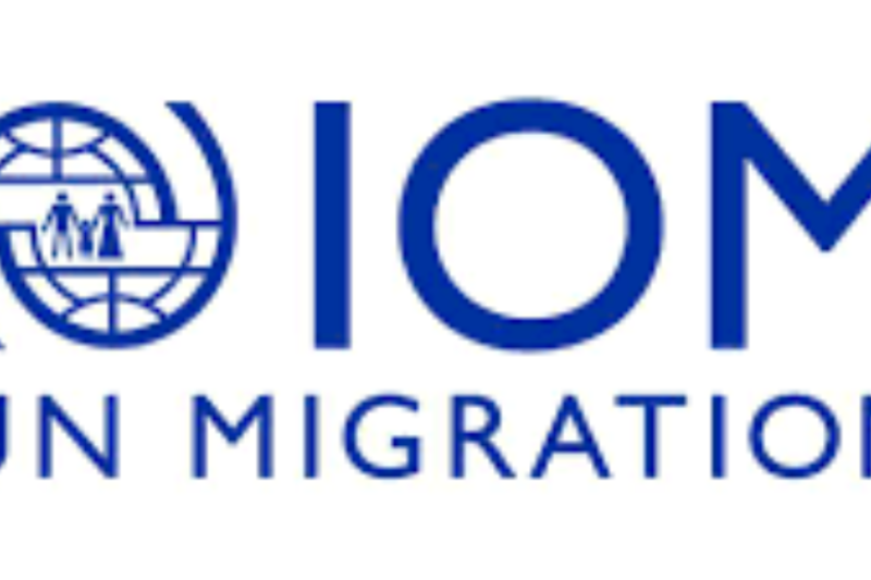 IOM Programme Support Intern 2027