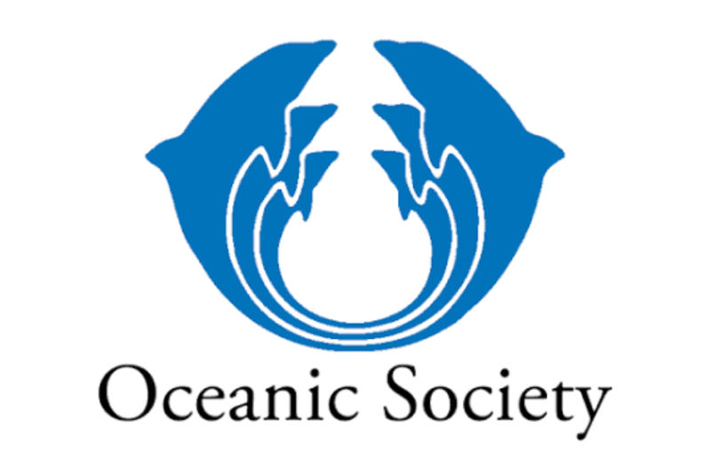 Ocean Conservation Grants Supporting Marine Protection Projects Worldwide 2026