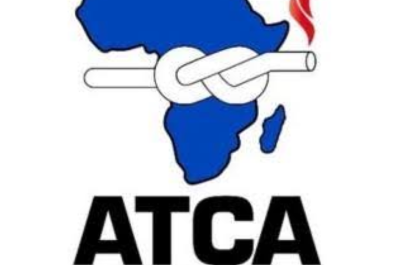 African Tobacco Control Alliance Programme Coordinator Job in Togo