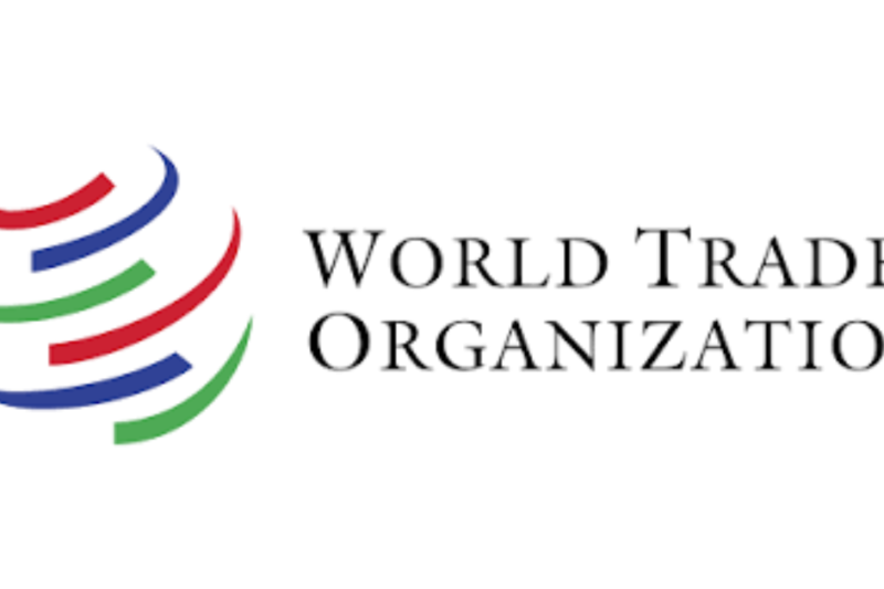 World Trade Organization Young Professionals Programme 2027