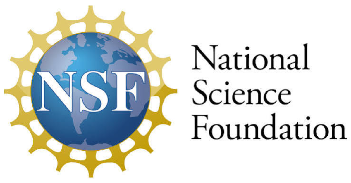 NSF Grants 2027