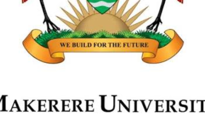 Call for Postgraduate Fellowship Applications 2026