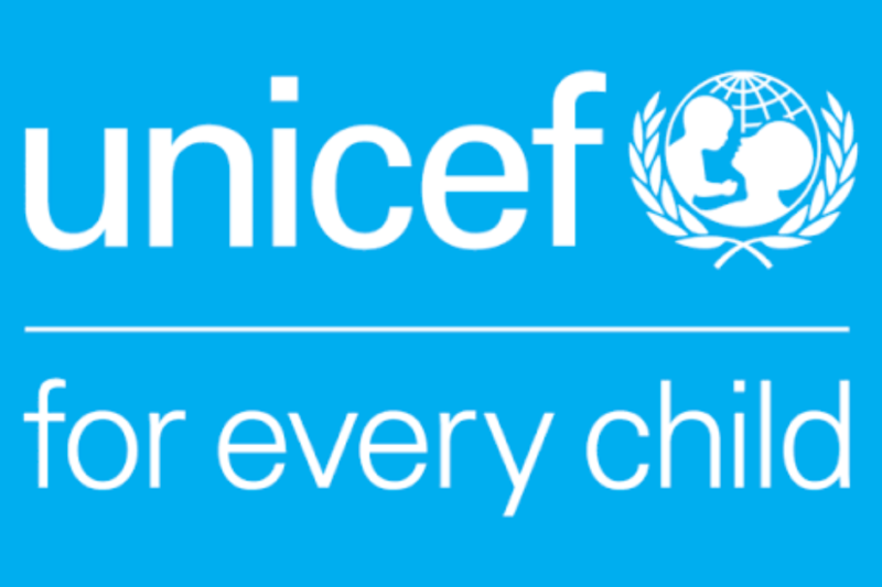 UNICEF Executive Specialist Role (P-3, Job No. 595017): Complete Application Guide