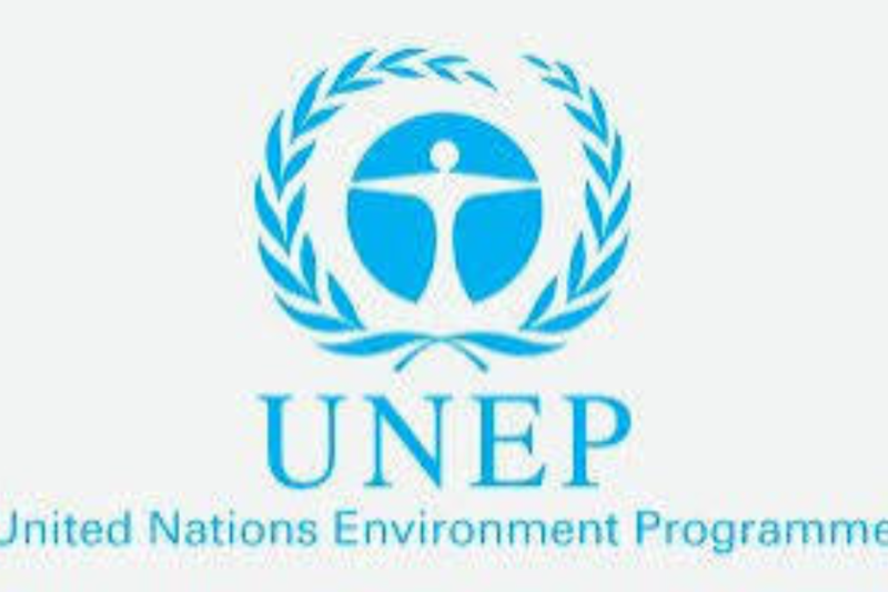UNEP Programme Management Assistant Role (G-6): Complete Application Guide