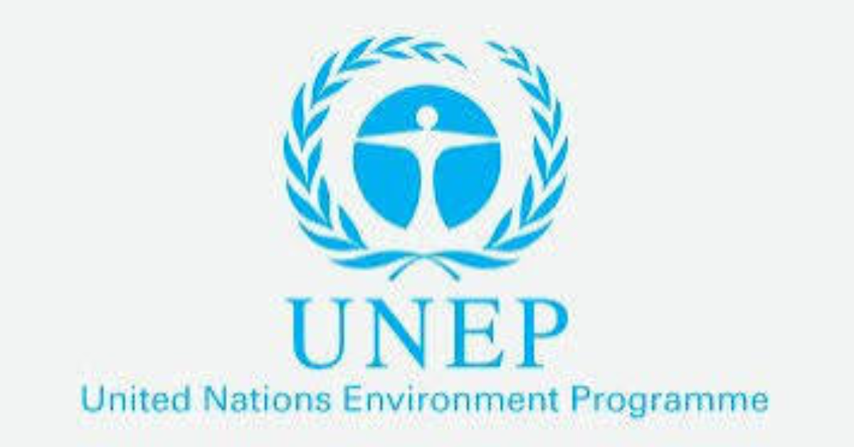 UNEP Programme Management Assistant Role