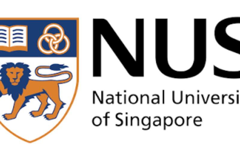 NUS Postdoctoral Research Fellowship