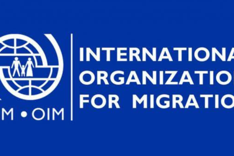 IOM Internship 2026