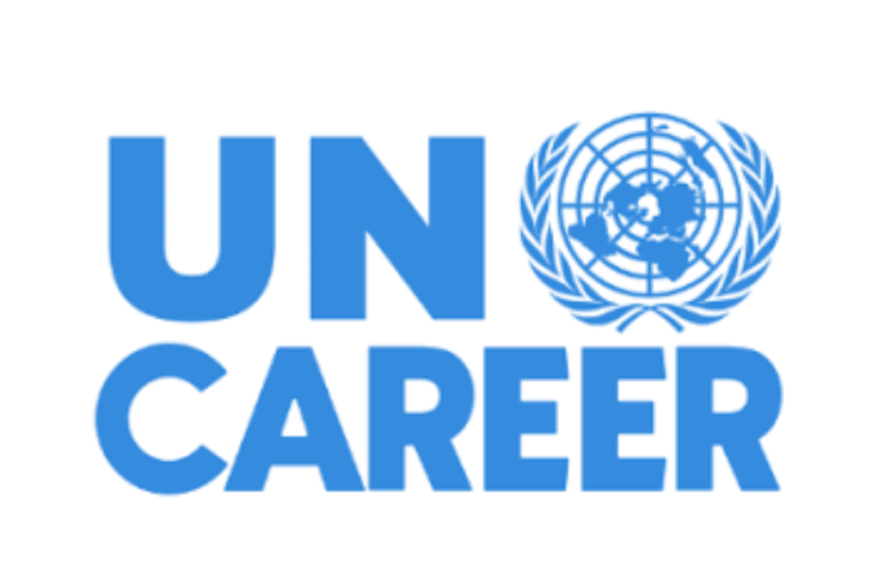 International Organizations Are Recruiting Interested Professionals Across These Career Fields in 2026