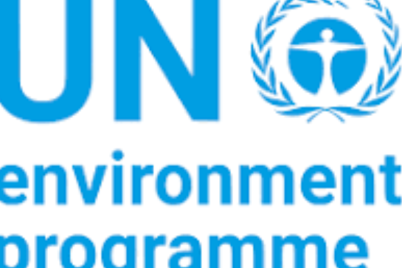 UNEP Administrative Assistant Job 2026