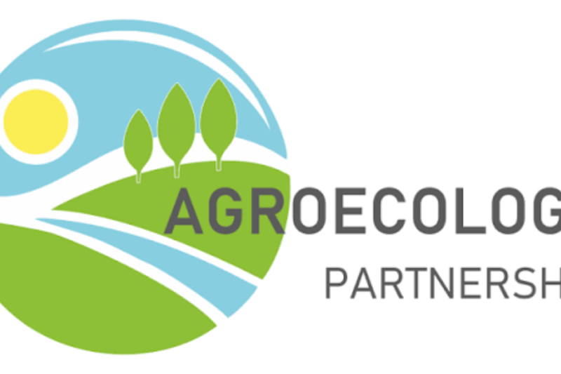 Early Career Researcher Hosting Programme 2027